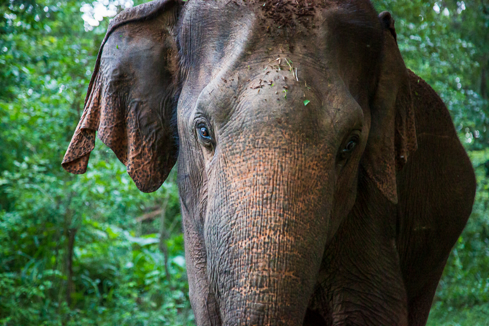 Sri Lanka