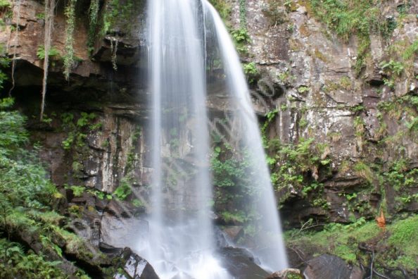 Melincourt Falls